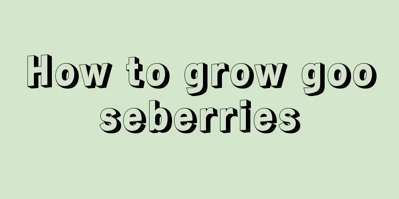 How to grow gooseberries