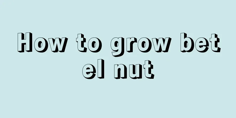 How to grow betel nut