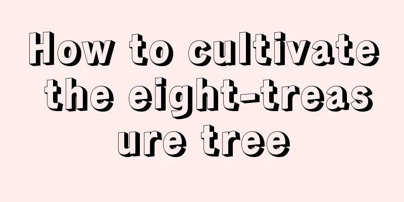 How to cultivate the eight-treasure tree