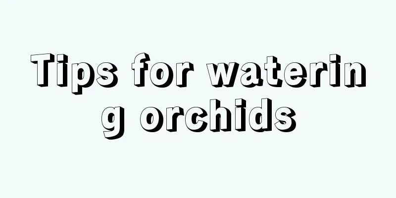 Tips for watering orchids