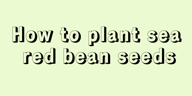 How to plant sea red bean seeds