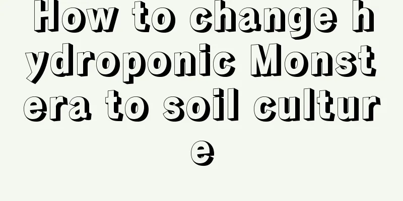 How to change hydroponic Monstera to soil culture