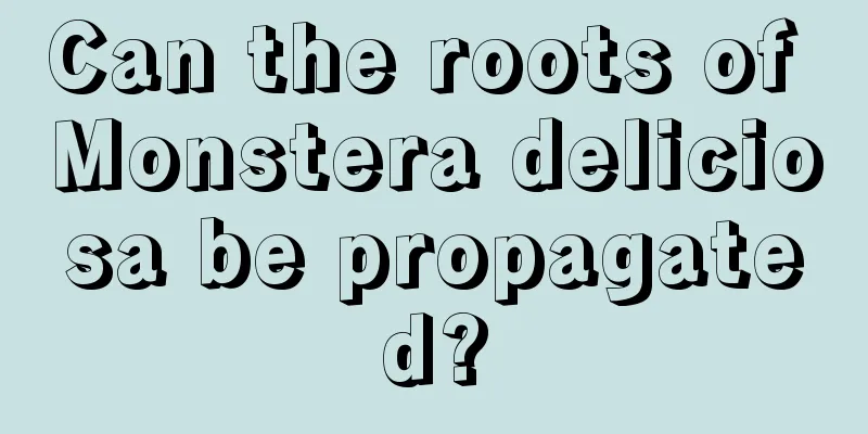 Can the roots of Monstera deliciosa be propagated?