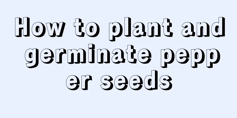 How to plant and germinate pepper seeds