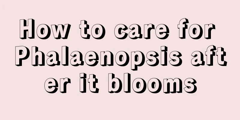 How to care for Phalaenopsis after it blooms