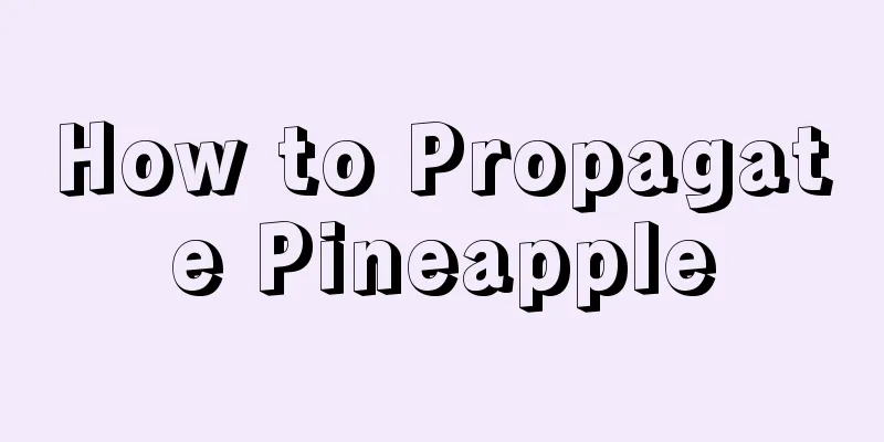 How to Propagate Pineapple