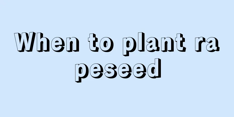 When to plant rapeseed