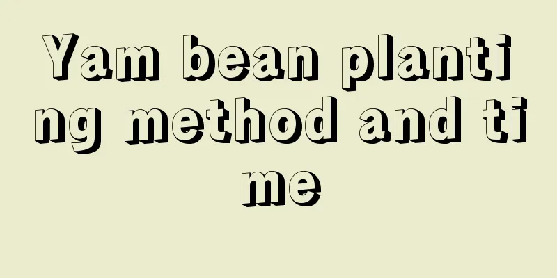 Yam bean planting method and time