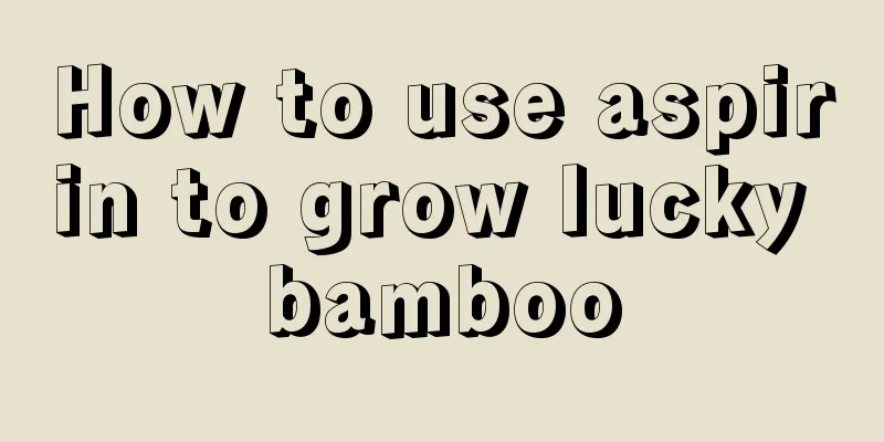 How to use aspirin to grow lucky bamboo