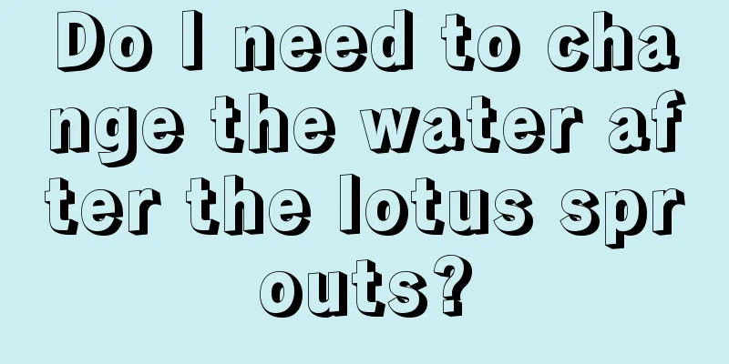 Do I need to change the water after the lotus sprouts?