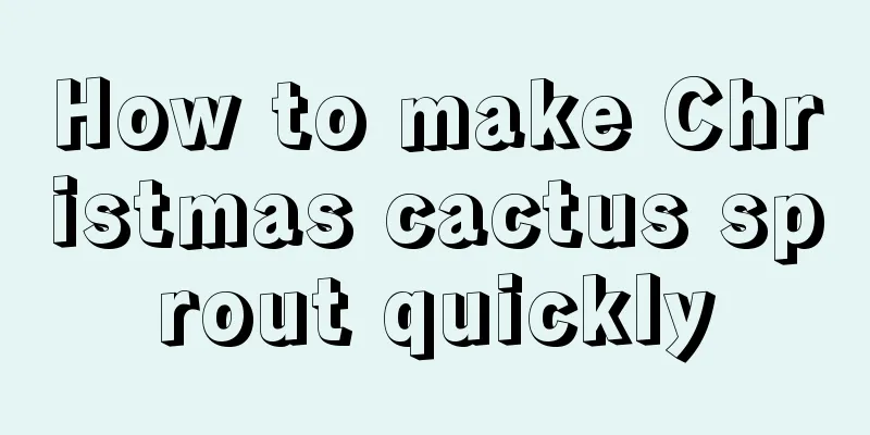 How to make Christmas cactus sprout quickly