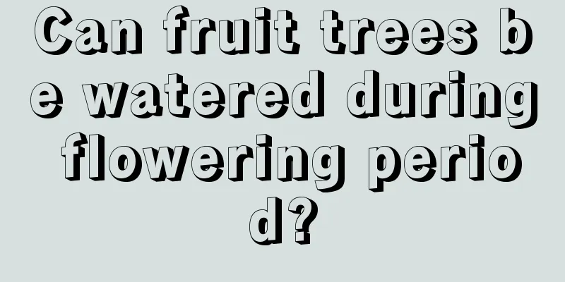 Can fruit trees be watered during flowering period?