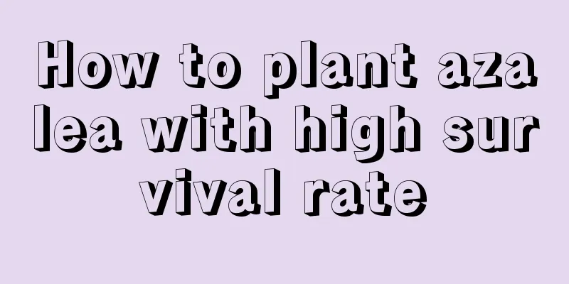 How to plant azalea with high survival rate