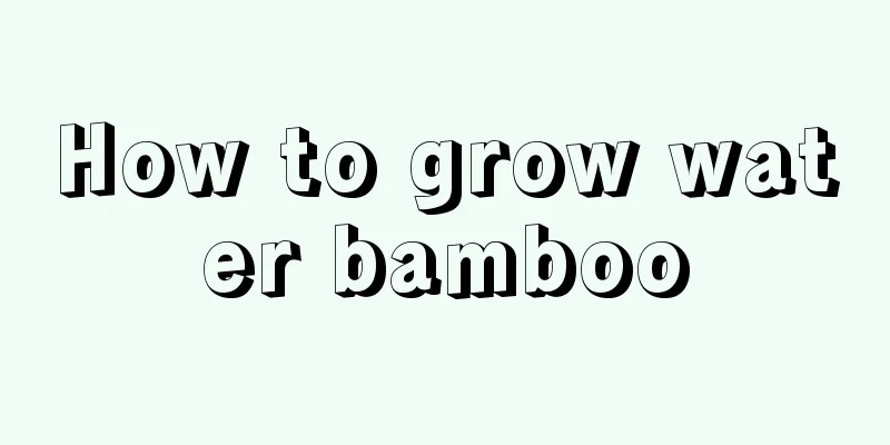 How to grow water bamboo