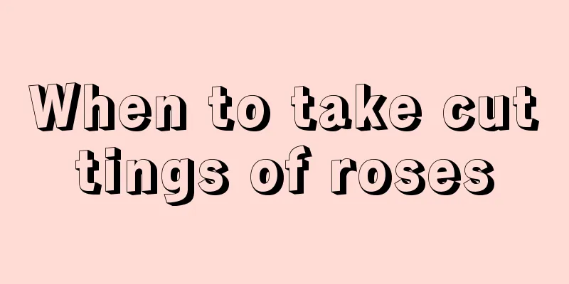 When to take cuttings of roses