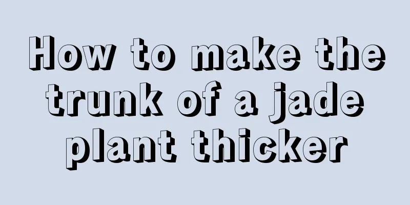 How to make the trunk of a jade plant thicker