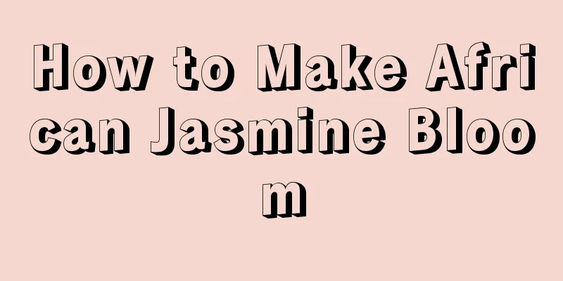 How to Make African Jasmine Bloom