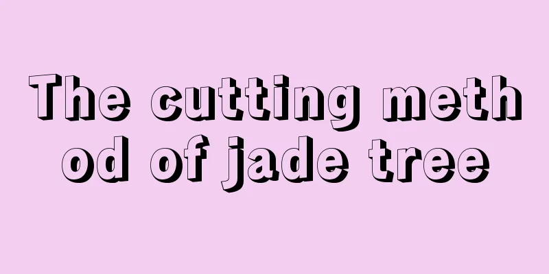 The cutting method of jade tree