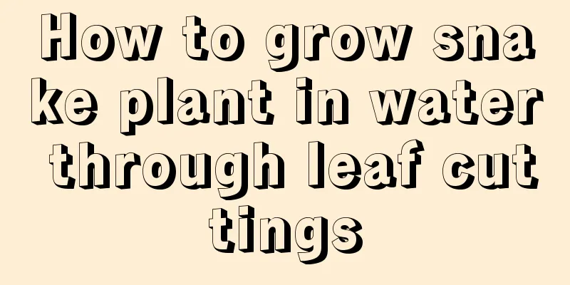 How to grow snake plant in water through leaf cuttings