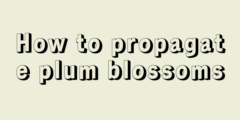 How to propagate plum blossoms