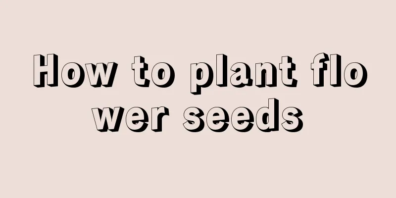 How to plant flower seeds