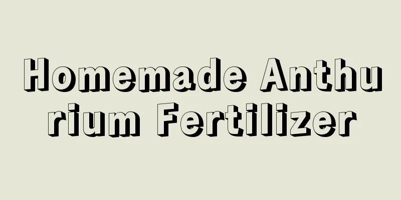 Homemade Anthurium Fertilizer