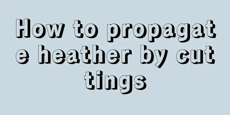 How to propagate heather by cuttings