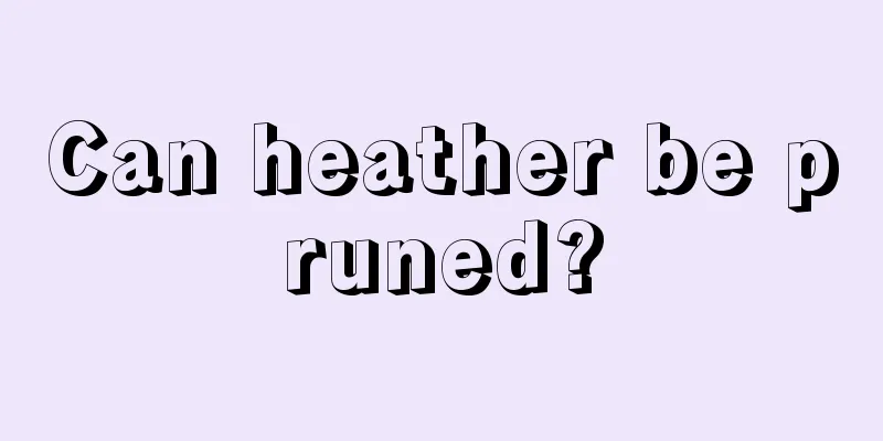 Can heather be pruned?