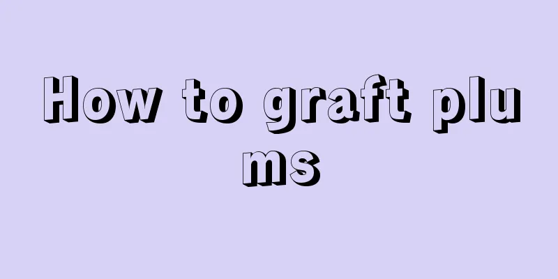 How to graft plums