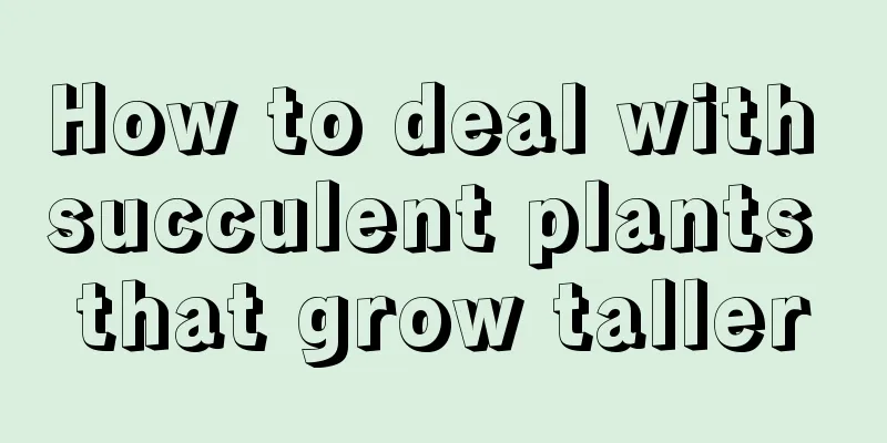 How to deal with succulent plants that grow taller