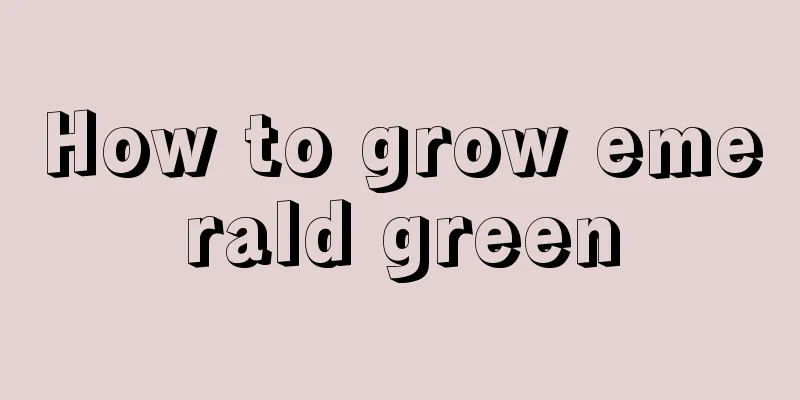 How to grow emerald green