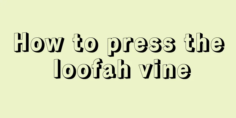 How to press the loofah vine