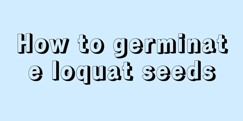 How to germinate loquat seeds