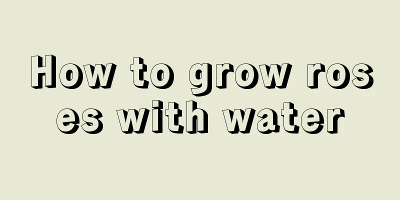 How to grow roses with water