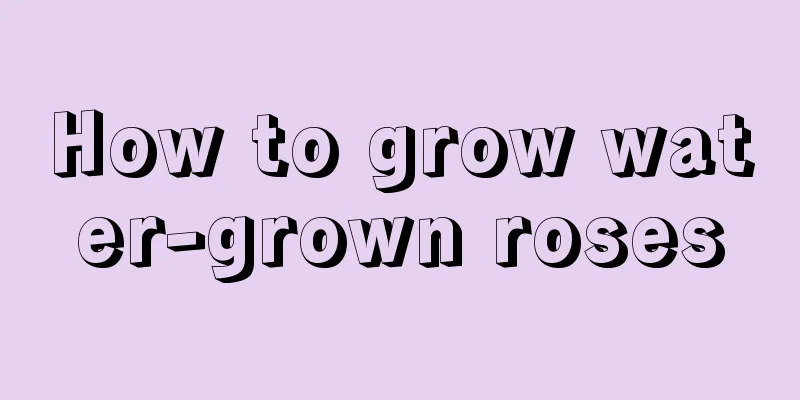 How to grow water-grown roses