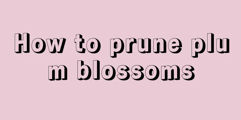 How to prune plum blossoms