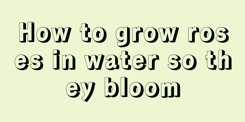 How to grow roses in water so they bloom