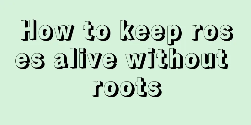 How to keep roses alive without roots