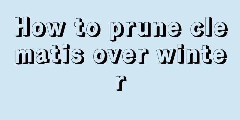 How to prune clematis over winter