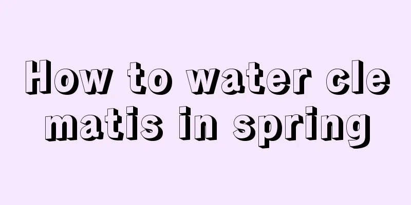 How to water clematis in spring