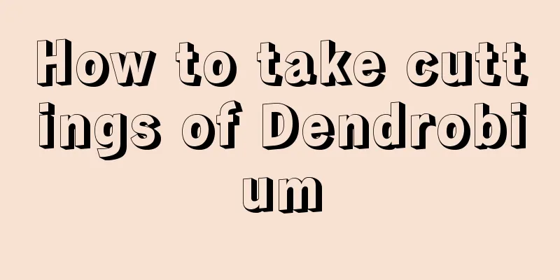 How to take cuttings of Dendrobium