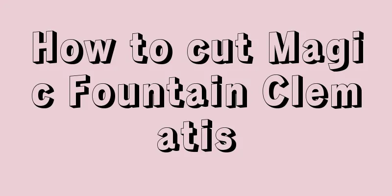 How to cut Magic Fountain Clematis