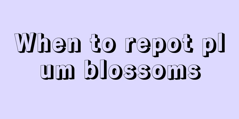 When to repot plum blossoms