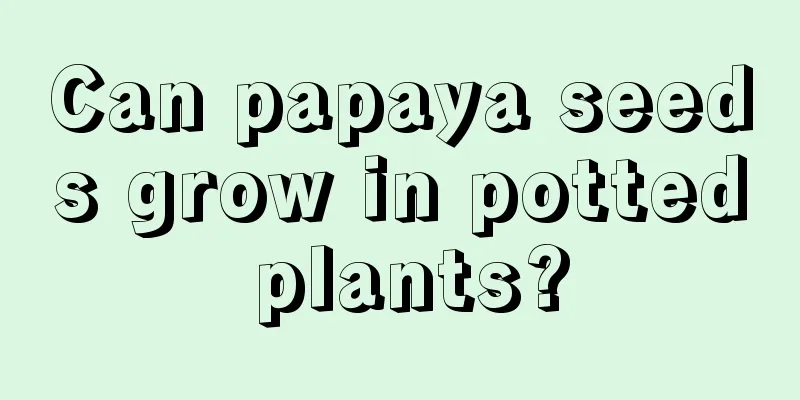 Can papaya seeds grow in potted plants?