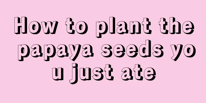 How to plant the papaya seeds you just ate