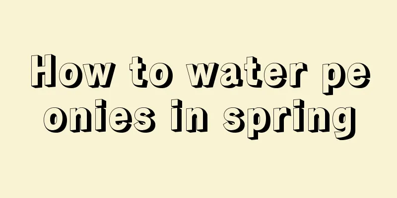 How to water peonies in spring