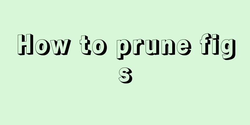 How to prune figs