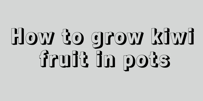 How to grow kiwi fruit in pots