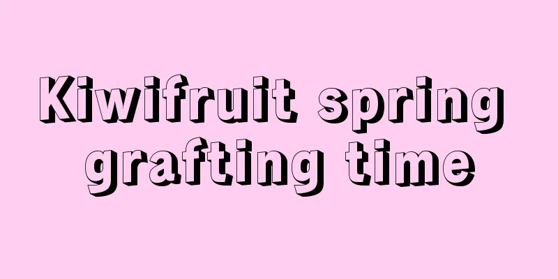 Kiwifruit spring grafting time