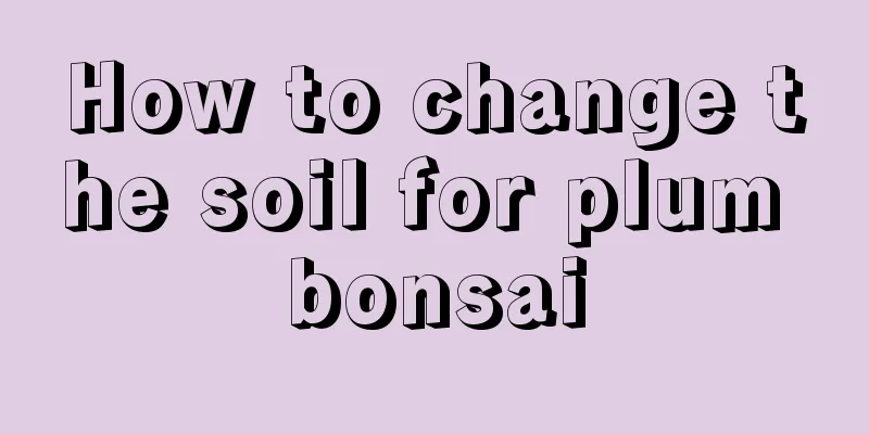 How to change the soil for plum bonsai